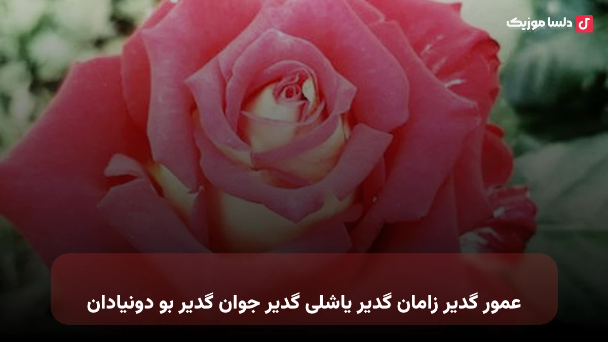 عمور گدیر زامان گدیر یاشلی گدیر جوان گدیر بو دونیادان ترکی